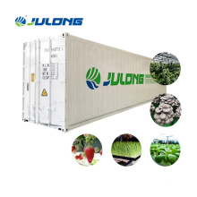 40ft Shipping Container Hemp Growing Container Greenhouse